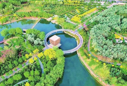 繪就綠色發(fā)展新畫卷 武威市涼州區(qū)推進生態(tài)文明建設(shè)綜述