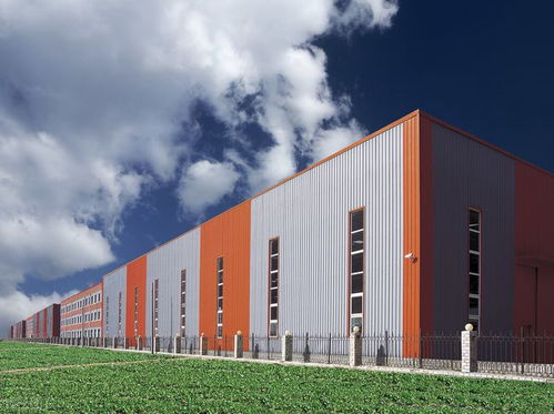 外企支付員工超高額遣散費,如同飯碗里加肉,下飯菜本應(yīng)有肉才是